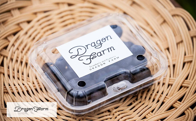 栽培期間中農薬不使用　完熟ブルーベリー　500g【果物詰合せ フルーツ 千葉県 千葉市 ブルーベリー 】