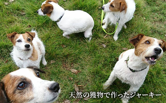 （定期便６回）千葉県で獲れた鹿ペット用ジャーキー(２個セット）１００g