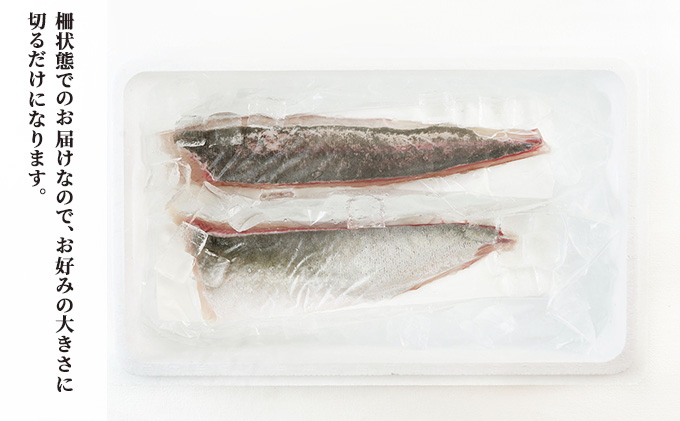 千葉市場直送　朝一活〆！カンパチ半身分（スキンレスロイン）