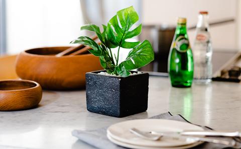 次世代型インテリアグリーン　DiamondPlants　Short シダ・ブラック鉢