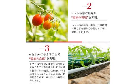 OSMIC トマト トマトグランプリ優勝 mini Premium 500g ミニトマト【トマト ミニトマト 野菜 千ブランド】