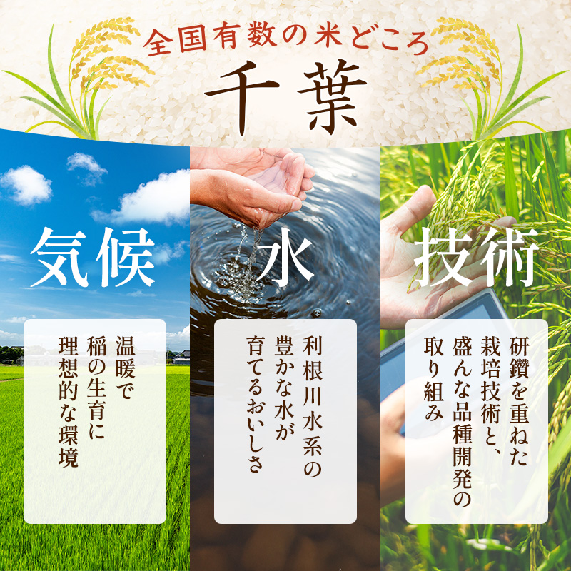 コシヒカリ 乾式無洗米 10kg（5kg×2）令和7年産 お米 精米 ご飯 美味しい 粘り つやつや 甘み