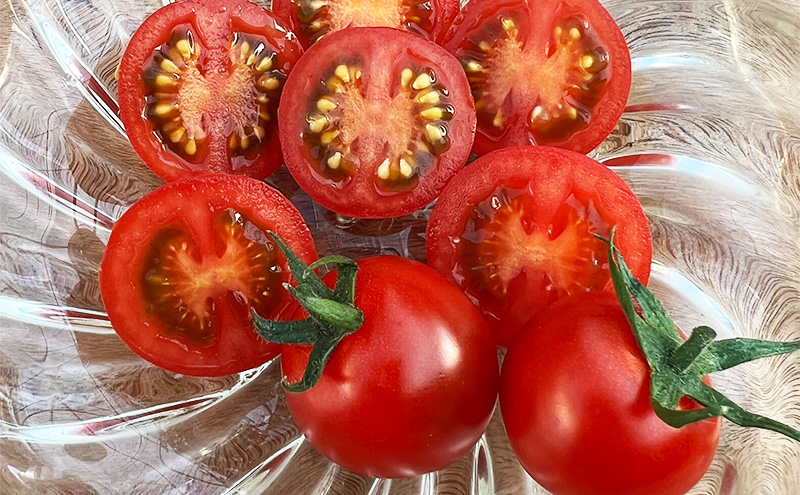 てっちゃんの完熟ミニトマト3kg採れたて農園直送