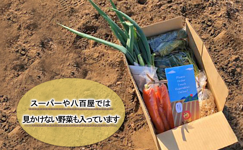 2～4名様向け／野菜6種に加工品をプラス