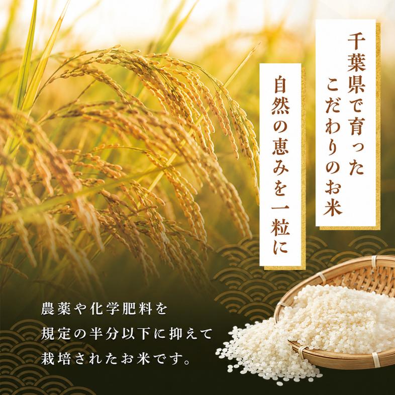 千葉産　令和7年ミルキークイーン　白米27kg【お米 粘り も
