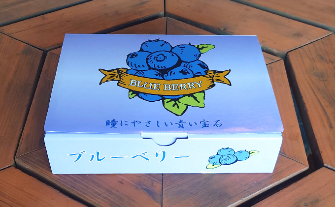 栽培期間中農薬不使用　完熟ブルーベリー　500g【果物詰合せ フルーツ 千葉県 千葉市 ブルーベリー 】