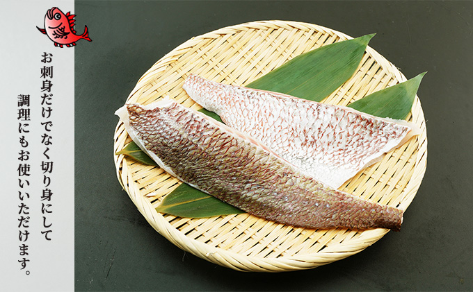 千葉市場直送　朝一活〆！マダイ1尾分（皮付ロイン・スキンレスロイン）