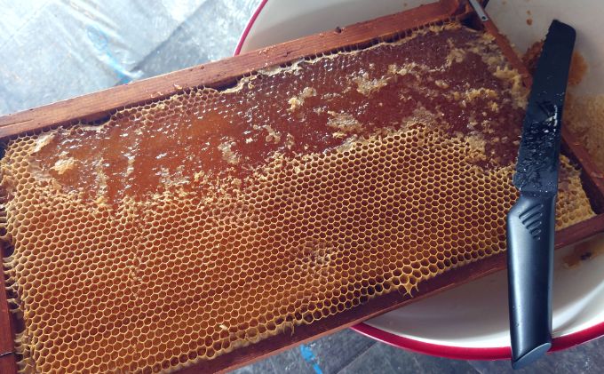 無添加　自家製ジャム　2種　＆　自家製ハチミツ