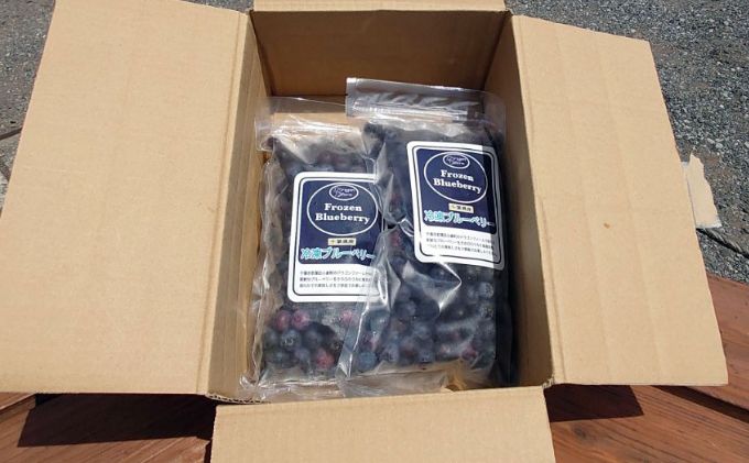 急速冷凍　ブルーベリー　1Kg