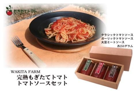 完熟もぎたてトマト　トマトソースセット【千ブランド トマト リゾット】