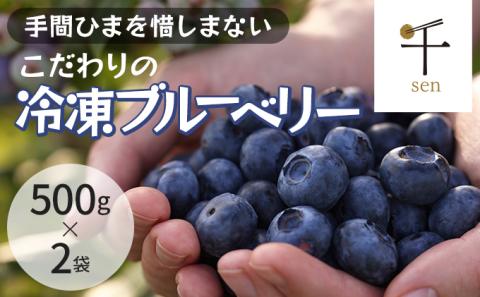 冷凍こだわりブルーベリー　500g×2【フルーツ  冷凍 1kg 千ブランド 】