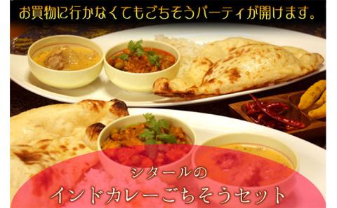 印度料理シタール インドカレー中ごちそうセット【カレー 加工食品 レトルト食品】