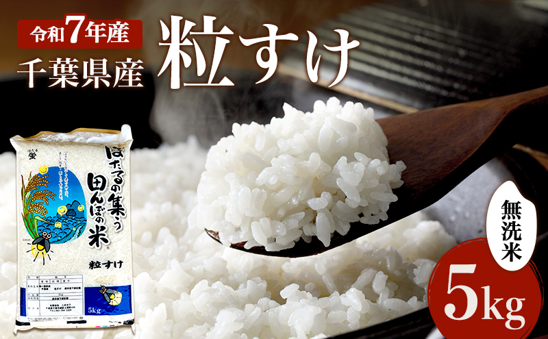 新米　令和7年 粒すけ 5kg 千葉産 乾式 無洗米　【 お米 こめ コメ おこめ 】