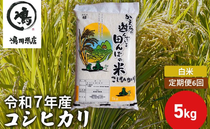 令和7年産　6ヶ月定期便　コシヒカリ　無洗米　5kg　【定期便・ お米 精米 粘りつやつや 甘み 美味しい 新鮮 】