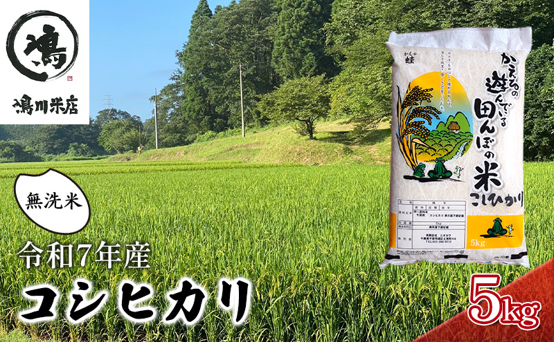 新米　令和7年  コシヒカリ　無洗米　5kg お米 精米 粘りつやつや 甘み 美味しい 新鮮