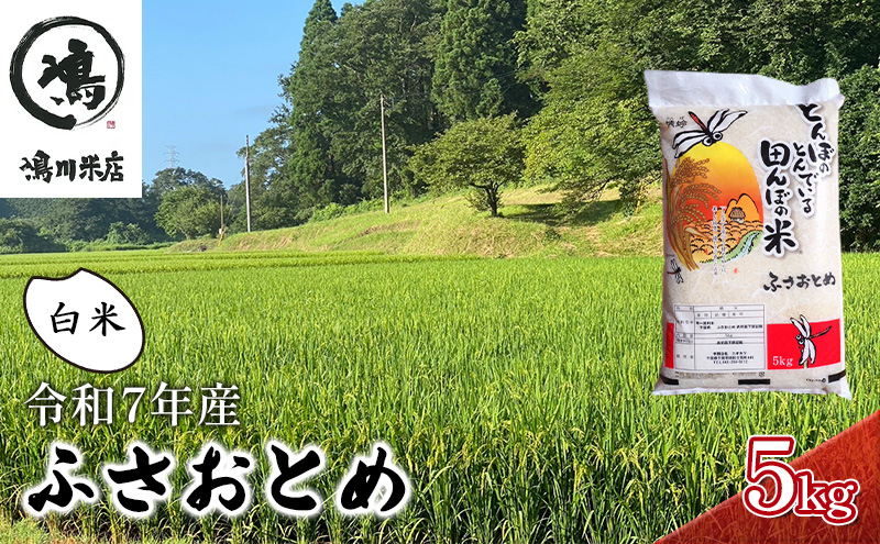 新米　令和7年 ふさおとめ　白米　5kg 【 お米 精米 大粒 粘り気 ファン 】 千葉県