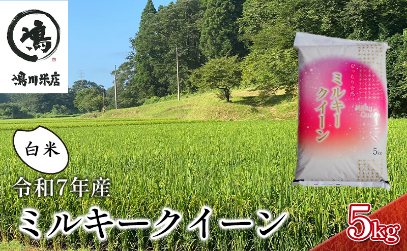 新米　令和7年 ミルキークイーン　白米　5kg　特別栽培米【お米 粘り もっちり おにぎり お弁当】 千葉県