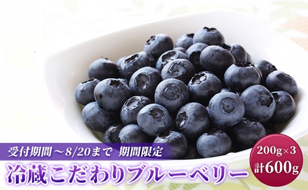 猪野ナーセリーのこだわりブルーベリー　200g×3【フルーツ ご褒美 千ブランド 】