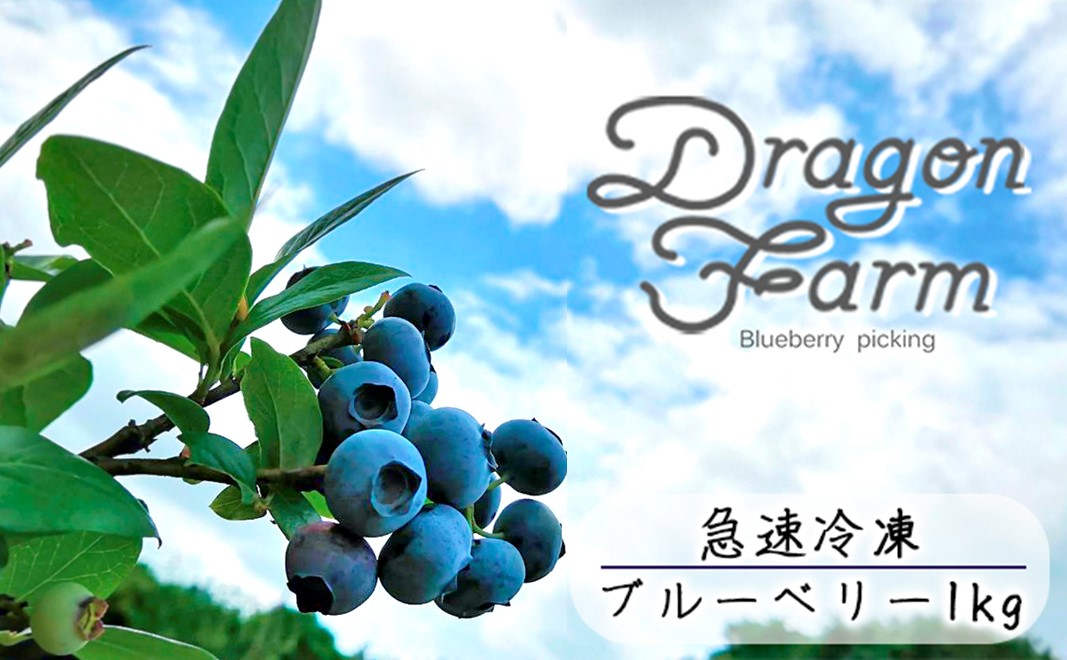 急速冷凍　ブルーベリー　1Kg
