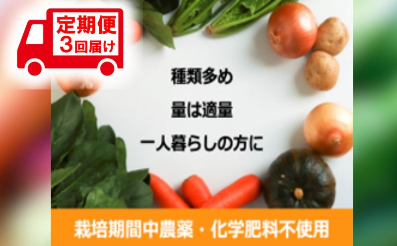野菜 定期便 3ヶ月 1名様向け 野菜5種 セット 旬の野菜 生野菜 やさい 新鮮 鮮度 産地直送 詰め合わせ 冷蔵 千葉 定期 お楽しみ 3回