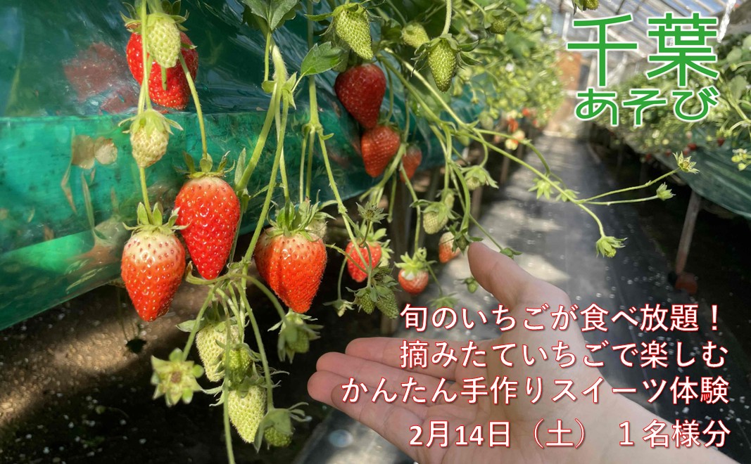 2月14日（土）旬のいちごが食べ放題！摘みたていちごで楽しむかんたん手作りスイーツ体験 1名様分 いちご狩り いちご スイーツ 体験 千葉あそび 千葉市