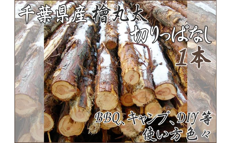 千葉市産切りっぱなし檜丸太1本 BBQ・キャンプ・スウェーデントーチ・DIYの素材として便利！: 千葉市ANAのふるさと納税