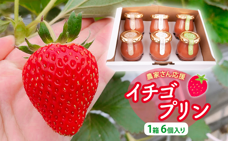 農家さん応援　イチゴプリン1箱6個入り