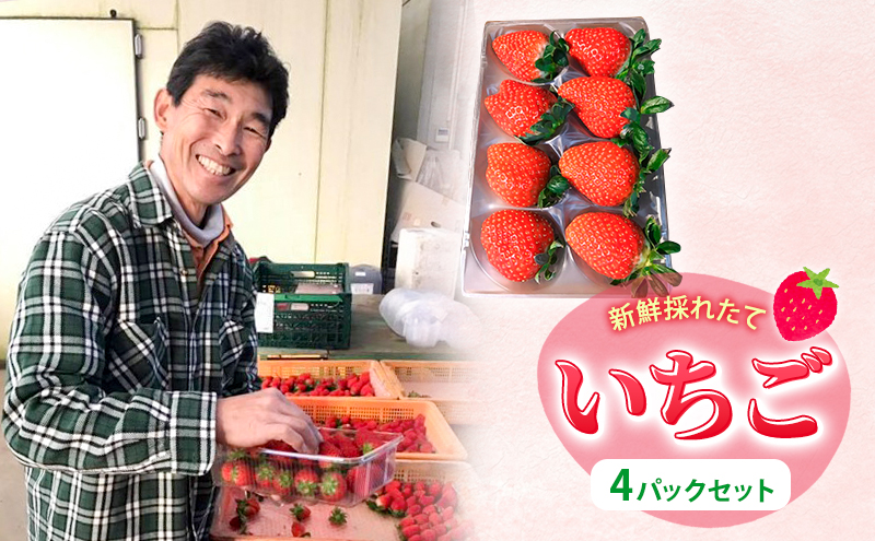 新鮮採れたて　いちご　４パックセット