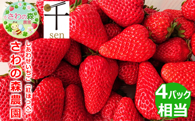 さわの森農園　しあわせいちご（紅ほっぺ）2シート詰め合わせ（4パック相当）【千ブランド イチゴ 苺 おやつ 果物】