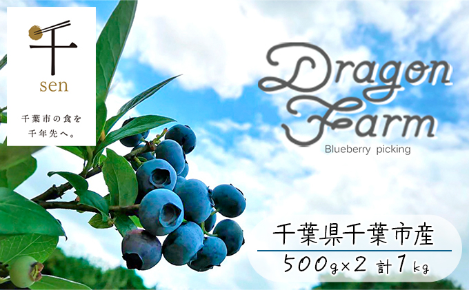 栽培期間中農薬不使用　完熟ブルーベリー　1kg【果物詰合せ フルーツ 千葉県 千葉市 ブルーベリー 】