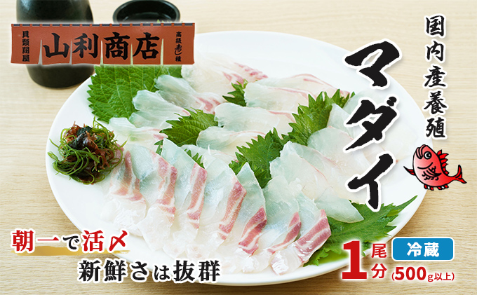 千葉市場直送　朝一活〆！マダイ1尾分（皮付ロイン・スキンレスロイン）