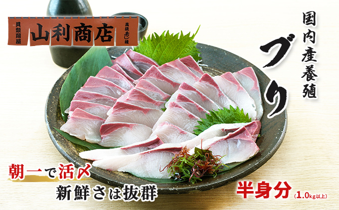 千葉市場直送　朝一活〆！ブリ半身分（スキンレスロイン）