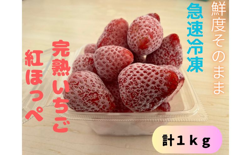 鮮度そのまま！！急速冷凍完熟いちご(紅ほっぺ)1kg ふぁいんファーム
