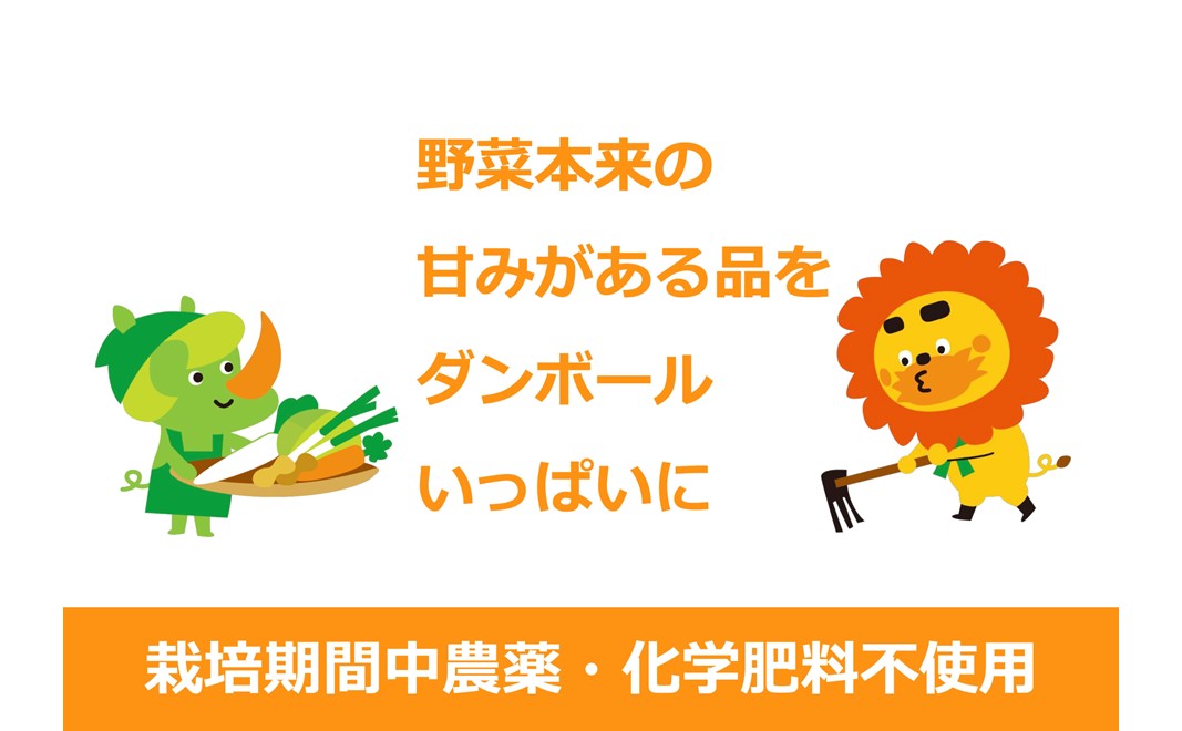 1名様向け／野菜5種セット 野菜セット 野菜詰合せ 産地直送