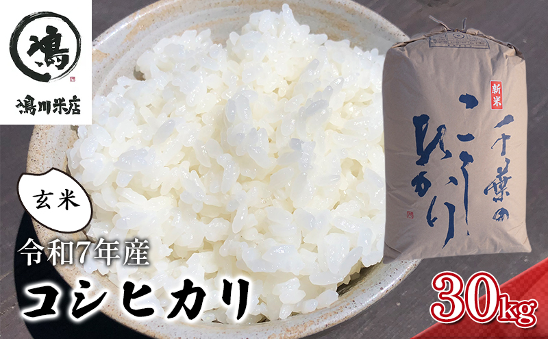 千葉産　令和7年コシヒカリ　玄米30kg【 お米 粘りつやつや