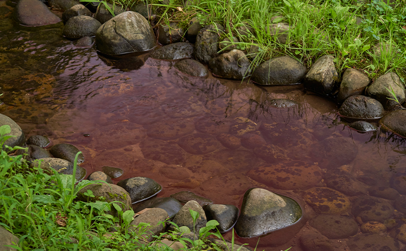 メガネの上から掛けられるサングラス オーバーグラス「Otani（オータニ）」様々なメガネに合わせやすいスクエアデザイン、小窓の側面で視野と明るさを確保、収まりの良いベーシックモデル。「いぶき」(6)Cグレー・ベージュ／ペールブラウン