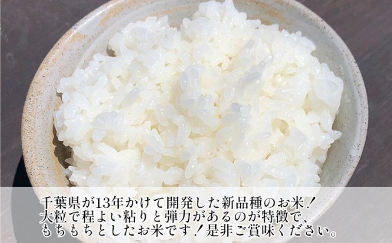 令和7年産 粒すけ　定期便2か月　乾式無洗米　10kg お米