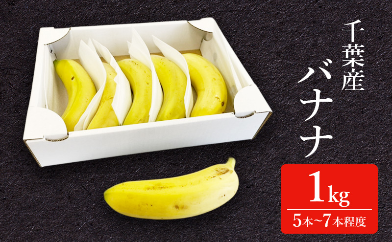 幻の品種 グロスミッシェル種 千葉市産 バナナ 1kg  1月～4月出荷 果物 フルーツ 千葉市