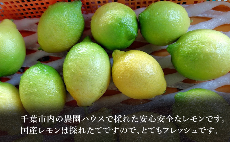 レモン 1kg 果物 フルーツ 国産 千葉市