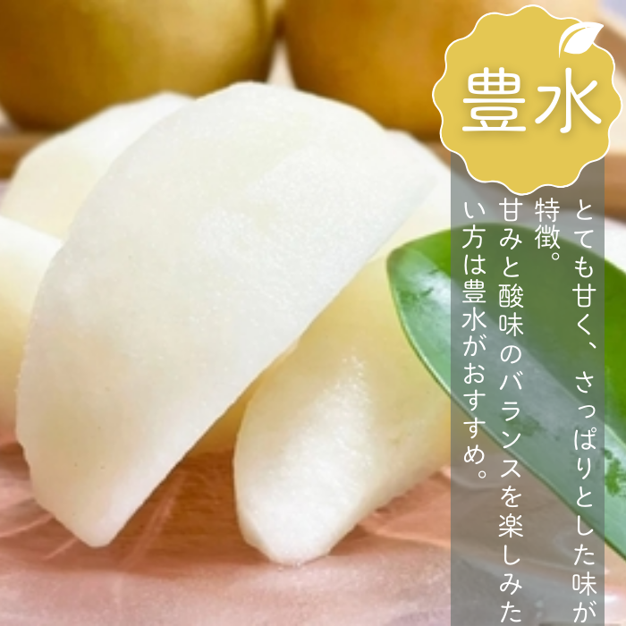【2026年産先行予約】＜家庭用＞果汁たっぷりの極上梨「豊水・3kg」6～9玉 千葉県 船橋市産