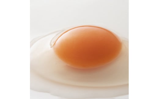 生で食べて美味しい　アロウカナ　奈良たまご　30個セット　6個×5パック　幸せの青いたまご　奈良養鶏園　農場HACCP認証　船橋産　希少　卵　玉子　鶏卵　たまごかけご飯　TKG