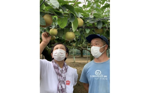 【焼き菓子セット】Le Caf? de Pommeコンフィチュール＆焼き菓子セット　コンフィチュール　梨っ娘　柚子　マーマレード　パウンドケーキ　手作り　フレンチシェフ　船橋　Le Cafe de Pomme