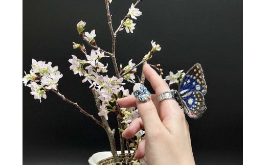 立体刺繍の蝶（オオムラサキ蝶）