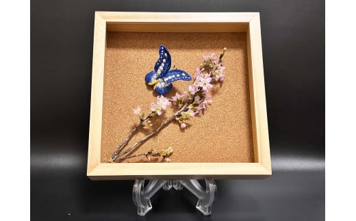 立体刺繍の蝶（ヘレナモルフォ蝶）