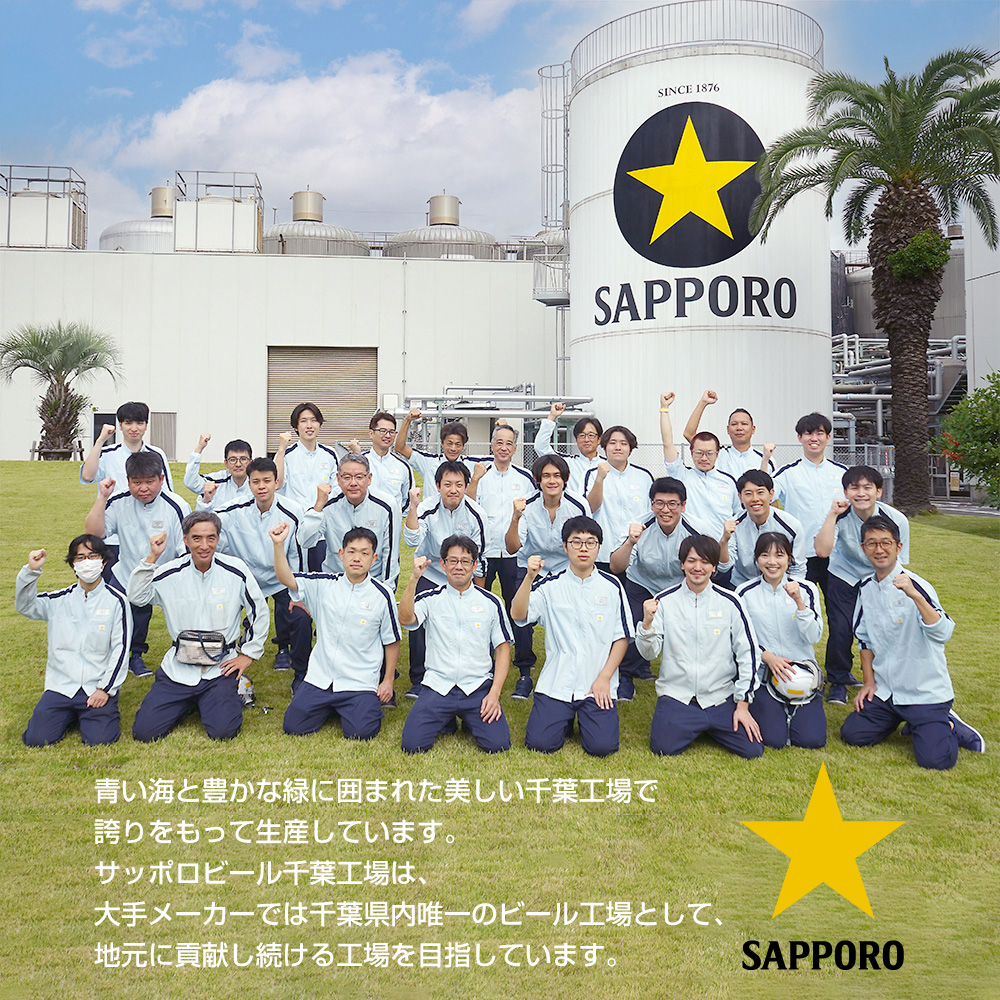 【6か月定期便】ヱビスビール・500ml×1ケース(24缶)　6か月　1ケース 24本 24缶 定期便　定番　月１回発送