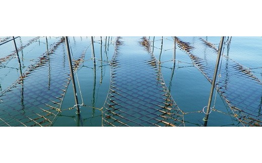 船橋三番瀬産　あさくさ海苔　5帖　板のり10枚×5袋　焼のり　チャック付き　江戸前海苔師坂才丸厳選　贈答用　御菜浦　江戸前　浅草海苔　アサクサノリ　手巻き寿司　おにぎり