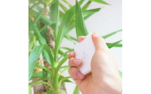 【携帯用除菌・消臭スプレー】ビクラスカードスプレー2枚セット(L52)