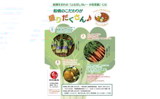 ふなばしカレー（小松菜）8箱入り　（160ｇ×8箱）