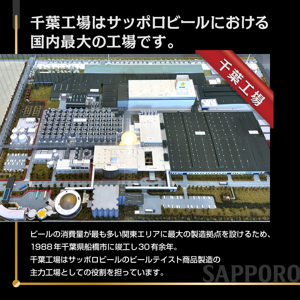 【6か月定期便】サッポロ 黒ラベル・500ml×1ケース（24缶）　6か月　1ケース 24本 24缶 定期便　定番　月１回発送