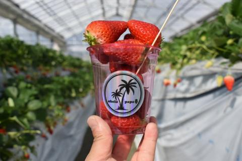 いちごガーデンohelo papa  無添加いちごジャム(K119)